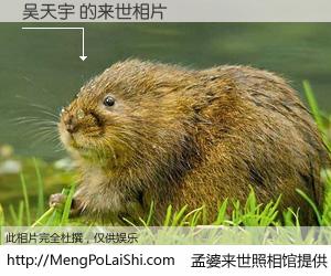 #孟婆来世照相馆# 【吴天宇 来世的未来相片】一碗梦婆汤，忘却了今生爱与痛，了无牵挂进入轮回。再相遇，已是天涯陌路人。可否借我一双慧眼，看清今生与来世？孟婆来世照相馆，触摸你的未来。吴天宇 来世的未来相片，有图有真相：