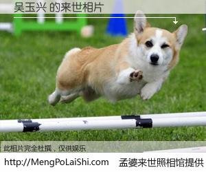 #孟婆来世照相馆# 【吴玉兴 来世的未来相片】一碗梦婆汤，忘却了今生爱与痛，了无牵挂进入轮回。再相遇，已是天涯陌路人。可否借我一双慧眼，看清今生与来世？孟婆来世照相馆，触摸你的未来。吴玉兴 来世的未来相片，有图有真相：