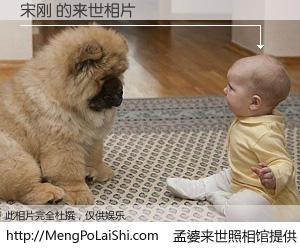 #孟婆来世照相馆# 【宋刚 来世的未来相片】一碗梦婆汤，忘却了今生爱与痛，了无牵挂进入轮回。再相遇，已是天涯陌路人。可否借我一双慧眼，看清今生与来世？孟婆来世照相馆，触摸你的未来。宋刚 来世的未来相片，有图有真相：