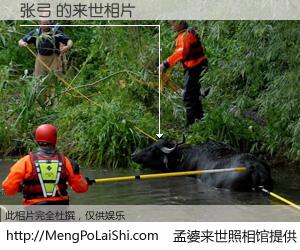 #孟婆来世照相馆# 【张弓 来世的未来相片】一碗梦婆汤，忘却了今生爱与痛，了无牵挂进入轮回。再相遇，已是天涯陌路人。可否借我一双慧眼，看清今生与来世？孟婆来世照相馆，触摸你的未来。张弓 来世的未来相片，有图有真相：