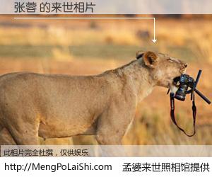 #孟婆来世照相馆# 【张蓉 来世的未来相片】一碗梦婆汤，忘却了今生爱与痛，了无牵挂进入轮回。再相遇，已是天涯陌路人。可否借我一双慧眼，看清今生与来世？孟婆来世照相馆，触摸你的未来。张蓉 来世的未来相片，有图有真相：