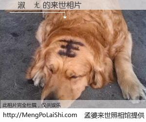 #孟婆来世照相馆# 【張淑紋ㄤ 来世的未来相片】一碗梦婆汤，忘却了今生爱与痛，了无牵挂进入轮回。再相遇，已是天涯陌路人。可否借我一双慧眼，看清今生与来世？孟婆来世照相馆，触摸你的未来。張淑紋ㄤ 来世的未来相片，有图有真相：
