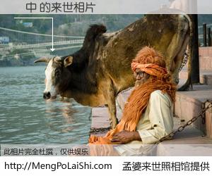 #孟婆来世照相馆# 【將中 来世的未来相片】一碗梦婆汤，忘却了今生爱与痛，了无牵挂进入轮回。再相遇，已是天涯陌路人。可否借我一双慧眼，看清今生与来世？孟婆来世照相馆，触摸你的未来。將中 来世的未来相片，有图有真相：