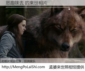 #孟婆来世照相馆# 【恶趣味去 来世的未来相片】一碗梦婆汤，忘却了今生爱与痛，了无牵挂进入轮回。再相遇，已是天涯陌路人。可否借我一双慧眼，看清今生与来世？孟婆来世照相馆，触摸你的未来。恶趣味去 来世的未来相片，有图有真相：