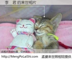 #孟婆来世照相馆# 【李漢君 来世的未来相片】一碗梦婆汤，忘却了今生爱与痛，了无牵挂进入轮回。再相遇，已是天涯陌路人。可否借我一双慧眼，看清今生与来世？孟婆来世照相馆，触摸你的未来。李漢君 来世的未来相片，有图有真相：