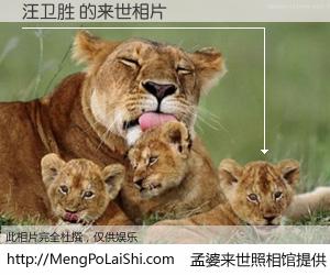 #孟婆来世照相馆# 【汪卫胜 来世的未来相片】一碗梦婆汤，忘却了今生爱与痛，了无牵挂进入轮回。再相遇，已是天涯陌路人。可否借我一双慧眼，看清今生与来世？孟婆来世照相馆，触摸你的未来。汪卫胜 来世的未来相片，有图有真相：