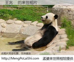 #孟婆来世照相馆# 【王兆芃 来世的未来相片】一碗梦婆汤，忘却了今生爱与痛，了无牵挂进入轮回。再相遇，已是天涯陌路人。可否借我一双慧眼，看清今生与来世？孟婆来世照相馆，触摸你的未来。王兆芃 来世的未来相片，有图有真相：