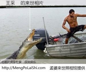 #孟婆来世照相馆# 【王采楓 来世的未来相片】一碗梦婆汤，忘却了今生爱与痛，了无牵挂进入轮回。再相遇，已是天涯陌路人。可否借我一双慧眼，看清今生与来世？孟婆来世照相馆，触摸你的未来。王采楓 来世的未来相片，有图有真相：