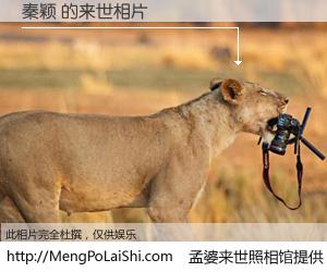 #孟婆来世照相馆# 【秦颖 来世的未来相片】一碗梦婆汤，忘却了今生爱与痛，了无牵挂进入轮回。再相遇，已是天涯陌路人。可否借我一双慧眼，看清今生与来世？孟婆来世照相馆，触摸你的未来。秦颖 来世的未来相片，有图有真相：