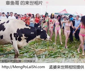 #孟婆来世照相馆# 【章鱼哥 来世的未来相片】一碗梦婆汤，忘却了今生爱与痛，了无牵挂进入轮回。再相遇，已是天涯陌路人。可否借我一双慧眼，看清今生与来世？孟婆来世照相馆，触摸你的未来。章鱼哥 来世的未来相片，有图有真相：