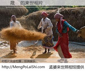 #孟婆来世照相馆# 【許晟華 来世的未来相片】一碗梦婆汤，忘却了今生爱与痛，了无牵挂进入轮回。再相遇，已是天涯陌路人。可否借我一双慧眼，看清今生与来世？孟婆来世照相馆，触摸你的未来。許晟華 来世的未来相片，有图有真相：