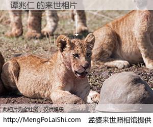 #孟婆来世照相馆# 【谭兆仁 来世的未来相片】一碗梦婆汤，忘却了今生爱与痛，了无牵挂进入轮回。再相遇，已是天涯陌路人。可否借我一双慧眼，看清今生与来世？孟婆来世照相馆，触摸你的未来。谭兆仁 来世的未来相片，有图有真相：