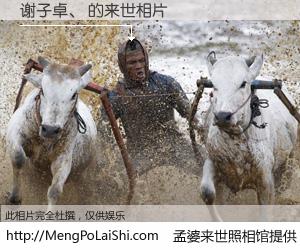 #孟婆来世照相馆# 【谢子卓、 来世的未来相片】一碗梦婆汤，忘却了今生爱与痛，了无牵挂进入轮回。再相遇，已是天涯陌路人。可否借我一双慧眼，看清今生与来世？孟婆来世照相馆，触摸你的未来。谢子卓、 来世的未来相片，有图有真相：