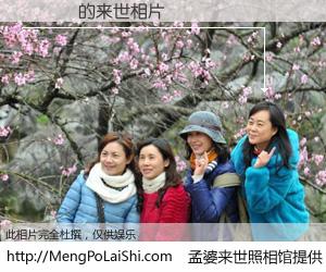 #孟婆来世照相馆# 【陳麗雲 来世的未来相片】一碗梦婆汤，忘却了今生爱与痛，了无牵挂进入轮回。再相遇，已是天涯陌路人。可否借我一双慧眼，看清今生与来世？孟婆来世照相馆，触摸你的未来。陳麗雲 来世的未来相片，有图有真相：