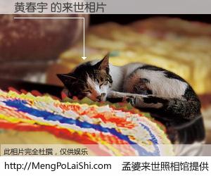 #孟婆来世照相馆# 【黄春宇 来世的未来相片】一碗梦婆汤，忘却了今生爱与痛，了无牵挂进入轮回。再相遇，已是天涯陌路人。可否借我一双慧眼，看清今生与来世？孟婆来世照相馆，触摸你的未来。黄春宇 来世的未来相片，有图有真相：