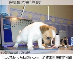 #孟婆来世照相馆# 【徐晨帆 来世的未来相片】一碗梦婆汤，忘却了今生爱与痛，了无牵挂进入轮回。再相遇，已是天涯陌路人。可否借我一双慧眼，看清今生与来世？孟婆来世照相馆，触摸你的未来。徐晨帆 来世的未来相片，有图有真相：