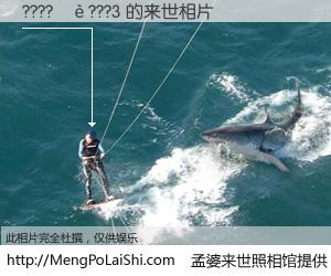 #孟婆来世照相馆# 【????��???3 来世的未来相片】一碗梦婆汤，忘却了今生爱与痛，了无牵挂进入轮回。再相遇，已是天涯陌路人。可否借我一双慧眼，看清今生与来世？孟婆来世照相馆，触摸你的未来。????��???3 来世的未来相片，有图有真相：