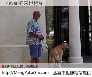 #孟婆来世照相馆# 【4ever 来世的未来相片】一碗梦婆汤，忘却了今生爱与痛，了无牵挂进入轮回。再相遇，已是天涯陌路人。可否借我一双慧眼，看清今生与来世？孟婆来世照相馆，触摸你的未来。4ever 来世的未来相片，有图有真相：