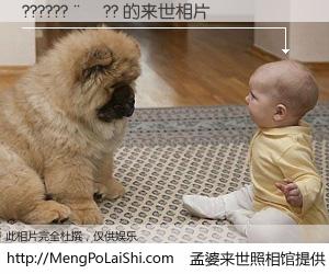 #孟婆来世照相馆# 【??????��?? 来世的未来相片】一碗梦婆汤，忘却了今生爱与痛，了无牵挂进入轮回。再相遇，已是天涯陌路人。可否借我一双慧眼，看清今生与来世？孟婆来世照相馆，触摸你的未来。??????��?? 来世的未来相片，有图有真相：