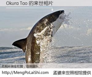 #孟婆来世照相馆# 【Okura Tao 来世的未来相片】一碗梦婆汤，忘却了今生爱与痛，了无牵挂进入轮回。再相遇，已是天涯陌路人。可否借我一双慧眼，看清今生与来世？孟婆来世照相馆，触摸你的未来。Okura Tao 来世的未来相片，有图有真相：