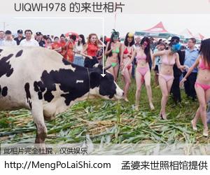 #孟婆来世照相馆# 【UIQWH978 来世的未来相片】一碗梦婆汤，忘却了今生爱与痛，了无牵挂进入轮回。再相遇，已是天涯陌路人。可否借我一双慧眼，看清今生与来世？孟婆来世照相馆，触摸你的未来。UIQWH978 来世的未来相片，有图有真相：