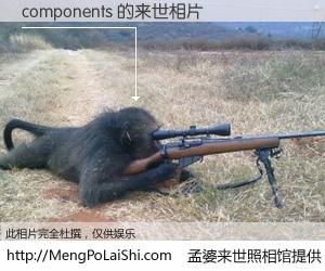 #孟婆来世照相馆# 【components 来世的未来相片】一碗梦婆汤，忘却了今生爱与痛，了无牵挂进入轮回。再相遇，已是天涯陌路人。可否借我一双慧眼，看清今生与来世？孟婆来世照相馆，触摸你的未来。components 来世的未来相片，有图有真相：