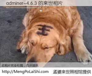 #孟婆来世照相馆# 【adminer-4.6.3 来世的未来相片】一碗梦婆汤，忘却了今生爱与痛，了无牵挂进入轮回。再相遇，已是天涯陌路人。可否借我一双慧眼，看清今生与来世？孟婆来世照相馆，触摸你的未来。adminer-4.6.3 来世的未来相片，有图有真相：