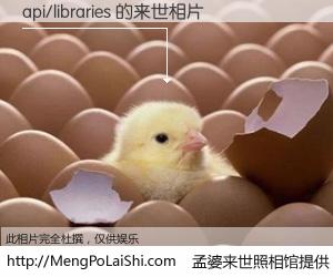 #孟婆来世照相馆# 【api/libraries 来世的未来相片】一碗梦婆汤，忘却了今生爱与痛，了无牵挂进入轮回。再相遇，已是天涯陌路人。可否借我一双慧眼，看清今生与来世？孟婆来世照相馆，触摸你的未来。api/libraries 来世的未来相片，有图有真相：