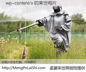 #孟婆来世照相馆# 【wp-content/x 来世的未来相片】一碗梦婆汤，忘却了今生爱与痛，了无牵挂进入轮回。再相遇，已是天涯陌路人。可否借我一双慧眼，看清今生与来世？孟婆来世照相馆，触摸你的未来。wp-content/x 来世的未来相片，有图有真相：