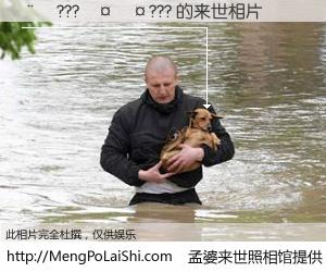 #孟婆来世照相馆# 【��???����??? 来世的未来相片】一碗梦婆汤，忘却了今生爱与痛，了无牵挂进入轮回。再相遇，已是天涯陌路人。可否借我一双慧眼，看清今生与来世？孟婆来世照相馆，触摸你的未来。��???����??? 来世的未来相片，有图有真相：