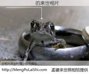 #孟婆来世照相馆# 【���� 来世的未来相片】一碗梦婆汤，忘却了今生爱与痛，了无牵挂进入轮回。再相遇，已是天涯陌路人。可否借我一双慧眼，看清今生与来世？孟婆来世照相馆，触摸你的未来。���� 来世的未来相片，有图有真相：