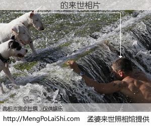 #孟婆来世照相馆# 【������ 来世的未来相片】一碗梦婆汤，忘却了今生爱与痛，了无牵挂进入轮回。再相遇，已是天涯陌路人。可否借我一双慧眼，看清今生与来世？孟婆来世照相馆，触摸你的未来。������ 来世的未来相片，有图有真相：