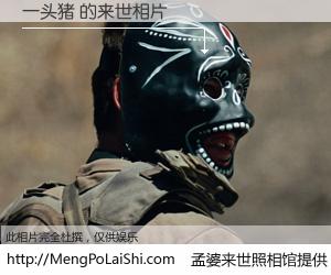 #孟婆来世照相馆# 【一头猪 来世的未来相片】一碗梦婆汤，忘却了今生爱与痛，了无牵挂进入轮回。再相遇，已是天涯陌路人。可否借我一双慧眼，看清今生与来世？孟婆来世照相馆，触摸你的未来。一头猪 来世的未来相片，有图有真相：