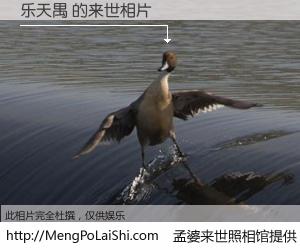 #孟婆来世照相馆# 【乐天禺 来世的未来相片】一碗梦婆汤，忘却了今生爱与痛，了无牵挂进入轮回。再相遇，已是天涯陌路人。可否借我一双慧眼，看清今生与来世？孟婆来世照相馆，触摸你的未来。乐天禺 来世的未来相片，有图有真相：