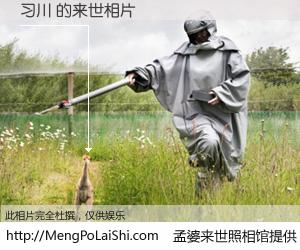 #孟婆来世照相馆# 【习川 来世的未来相片】一碗梦婆汤，忘却了今生爱与痛，了无牵挂进入轮回。再相遇，已是天涯陌路人。可否借我一双慧眼，看清今生与来世？孟婆来世照相馆，触摸你的未来。习川 来世的未来相片，有图有真相：