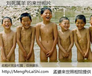 #孟婆来世照相馆# 【刘死属羊 来世的未来相片】一碗梦婆汤，忘却了今生爱与痛，了无牵挂进入轮回。再相遇，已是天涯陌路人。可否借我一双慧眼，看清今生与来世？孟婆来世照相馆，触摸你的未来。刘死属羊 来世的未来相片，有图有真相：