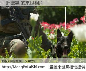 #孟婆来世照相馆# 【叶德晃 来世的未来相片】一碗梦婆汤，忘却了今生爱与痛，了无牵挂进入轮回。再相遇，已是天涯陌路人。可否借我一双慧眼，看清今生与来世？孟婆来世照相馆，触摸你的未来。叶德晃 来世的未来相片，有图有真相：