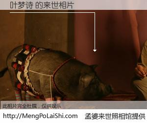#孟婆来世照相馆# 【叶梦诗 来世的未来相片】一碗梦婆汤，忘却了今生爱与痛，了无牵挂进入轮回。再相遇，已是天涯陌路人。可否借我一双慧眼，看清今生与来世？孟婆来世照相馆，触摸你的未来。叶梦诗 来世的未来相片，有图有真相：