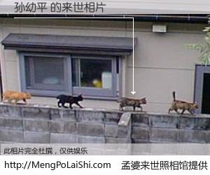#孟婆来世照相馆# 【孙幼平 来世的未来相片】一碗梦婆汤，忘却了今生爱与痛，了无牵挂进入轮回。再相遇，已是天涯陌路人。可否借我一双慧眼，看清今生与来世？孟婆来世照相馆，触摸你的未来。孙幼平 来世的未来相片，有图有真相：