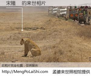 #孟婆来世照相馆# 【宋隆欽 来世的未来相片】一碗梦婆汤，忘却了今生爱与痛，了无牵挂进入轮回。再相遇，已是天涯陌路人。可否借我一双慧眼，看清今生与来世？孟婆来世照相馆，触摸你的未来。宋隆欽 来世的未来相片，有图有真相：