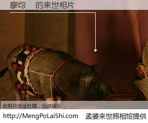 #孟婆来世照相馆# 【廖均犖 来世的未来相片】一碗梦婆汤，忘却了今生爱与痛，了无牵挂进入轮回。再相遇，已是天涯陌路人。可否借我一双慧眼，看清今生与来世？孟婆来世照相馆，触摸你的未来。廖均犖 来世的未来相片，有图有真相：