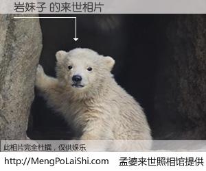 #孟婆来世照相馆# 【岩妹子 来世的未来相片】一碗梦婆汤，忘却了今生爱与痛，了无牵挂进入轮回。再相遇，已是天涯陌路人。可否借我一双慧眼，看清今生与来世？孟婆来世照相馆，触摸你的未来。岩妹子 来世的未来相片，有图有真相：