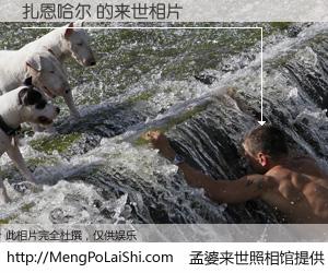 #孟婆来世照相馆# 【扎恩哈尔 来世的未来相片】一碗梦婆汤，忘却了今生爱与痛，了无牵挂进入轮回。再相遇，已是天涯陌路人。可否借我一双慧眼，看清今生与来世？孟婆来世照相馆，触摸你的未来。扎恩哈尔 来世的未来相片，有图有真相：