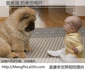 #孟婆来世照相馆# 【曾振瑞 来世的未来相片】一碗梦婆汤，忘却了今生爱与痛，了无牵挂进入轮回。再相遇，已是天涯陌路人。可否借我一双慧眼，看清今生与来世？孟婆来世照相馆，触摸你的未来。曾振瑞 来世的未来相片，有图有真相：