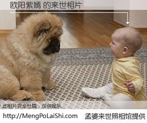 #孟婆来世照相馆# 【欧阳紫嫣 来世的未来相片】一碗梦婆汤，忘却了今生爱与痛，了无牵挂进入轮回。再相遇，已是天涯陌路人。可否借我一双慧眼，看清今生与来世？孟婆来世照相馆，触摸你的未来。欧阳紫嫣 来世的未来相片，有图有真相：