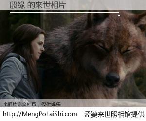 #孟婆来世照相馆# 【殷缘 来世的未来相片】一碗梦婆汤，忘却了今生爱与痛，了无牵挂进入轮回。再相遇，已是天涯陌路人。可否借我一双慧眼，看清今生与来世？孟婆来世照相馆，触摸你的未来。殷缘 来世的未来相片，有图有真相：