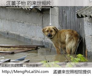 #孟婆来世照相馆# 【汪董子怡 来世的未来相片】一碗梦婆汤，忘却了今生爱与痛，了无牵挂进入轮回。再相遇，已是天涯陌路人。可否借我一双慧眼，看清今生与来世？孟婆来世照相馆，触摸你的未来。汪董子怡 来世的未来相片，有图有真相：