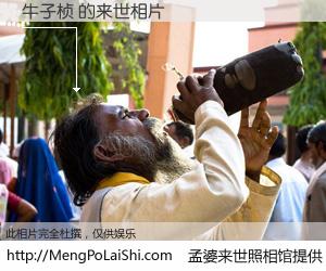 #孟婆来世照相馆# 【牛子桢 来世的未来相片】一碗梦婆汤，忘却了今生爱与痛，了无牵挂进入轮回。再相遇，已是天涯陌路人。可否借我一双慧眼，看清今生与来世？孟婆来世照相馆，触摸你的未来。牛子桢 来世的未来相片，有图有真相：