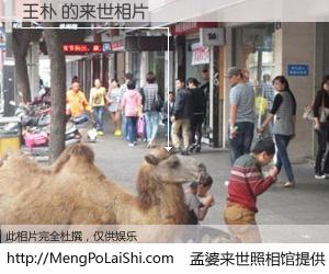 #孟婆来世照相馆# 【王朴 来世的未来相片】一碗梦婆汤，忘却了今生爱与痛，了无牵挂进入轮回。再相遇，已是天涯陌路人。可否借我一双慧眼，看清今生与来世？孟婆来世照相馆，触摸你的未来。王朴 来世的未来相片，有图有真相：