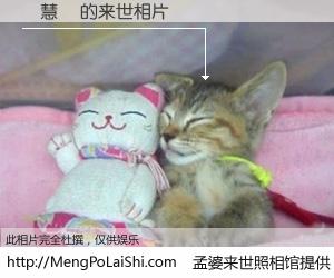 #孟婆来世照相馆# 【羅慧詩 来世的未来相片】一碗梦婆汤，忘却了今生爱与痛，了无牵挂进入轮回。再相遇，已是天涯陌路人。可否借我一双慧眼，看清今生与来世？孟婆来世照相馆，触摸你的未来。羅慧詩 来世的未来相片，有图有真相：
